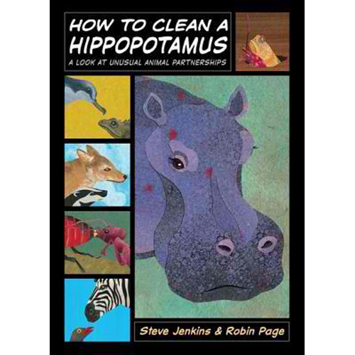 How To Clean A Hippopotamus A Look At Unusual Partnerships The Learning Basket